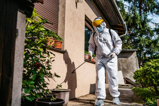 Best Pest Prevention Services  in Jennings, MO
