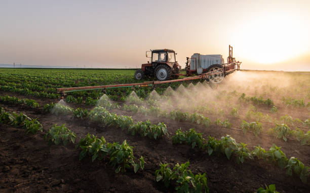 Best Commercial Pest Control Services  in Jennings, MO