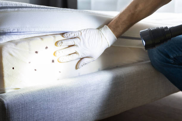 Best Pest Inspection Near Me  in Jennings, MO