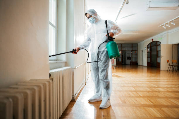 Reliable Jennings, MO Pest Control Solutions
