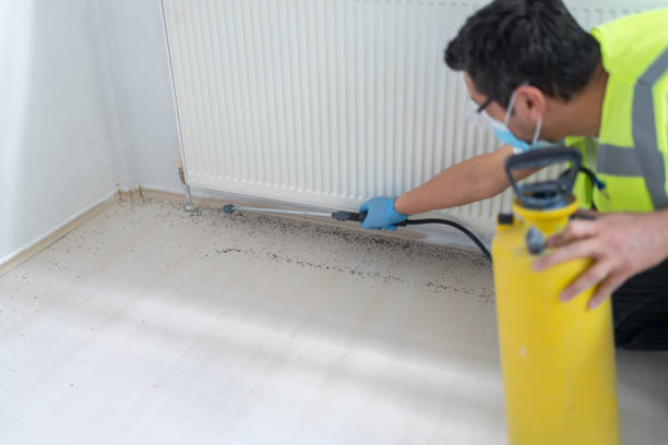 Best Residential Pest Control  in Jennings, MO